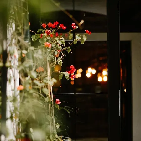 Atelier Boutique * شكودر