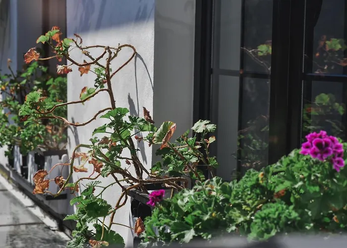 מלון Atelier Boutique