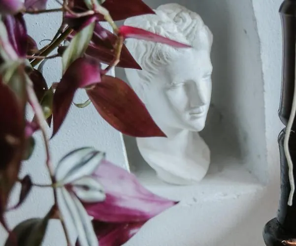 Atelier Boutique מלון שקודר