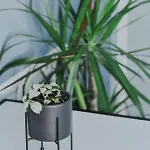 Atelier Boutique ホテル
