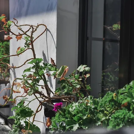 Hotel Atelier Boutique