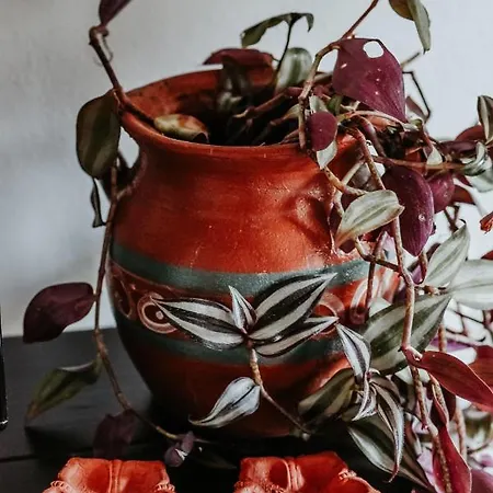 Atelier Boutique Hotel Shkodër