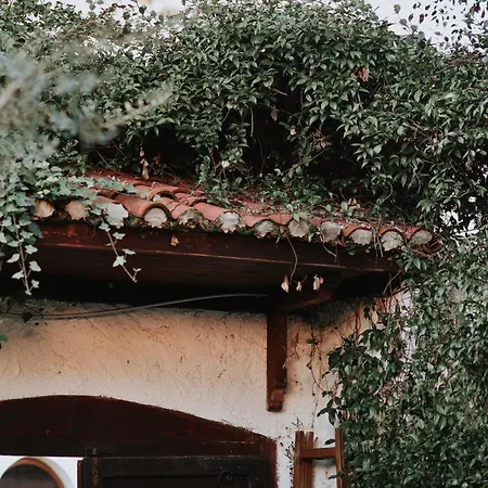 Atelier Boutique Hotel *