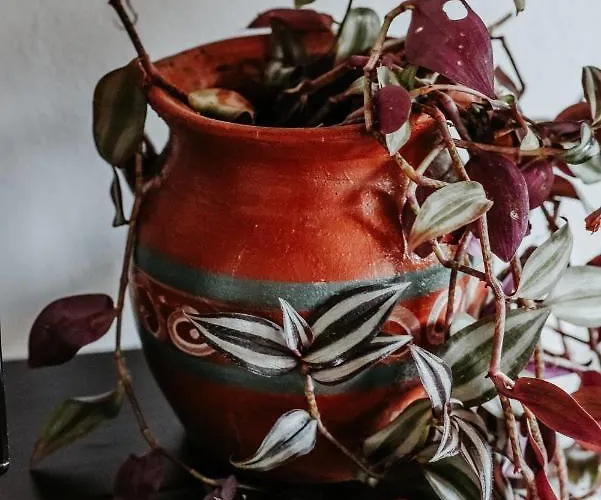 Atelier Boutique Hotel Shkodër