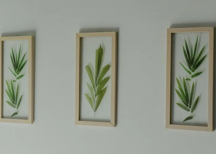 Atelier Boutique * Shkodër